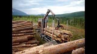 Volvo FH 660 Timber loading [upl. by Aneeh525]