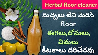 herbal floor cleaner making at homeదీనితో floor క్లీన్ చేస్తే ఇంట్లోకి ఈగలు దోమలుచీమలు దరిచేరవు [upl. by Dall]