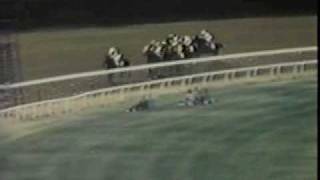 Seattle Slew  The 1977 Belmont Stakes [upl. by Eitsud]