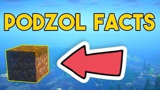 Minecraft Facts About Podzol That You Probably Didnt Know [upl. by Alegnaed]