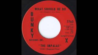 What Should He Do The Impalas 1968 [upl. by Veradis]