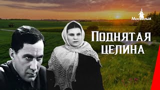 Поднятая целина  The New Land 1939 фильм смотреть онлайн [upl. by Nnylakcaj553]