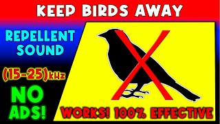 ANTI BIRDS REPELLENT SOUND 🚫🐦 KEEP BIRDS AWAY  ULTRASONIC SOUND [upl. by Annailuj229]