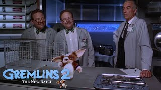 Gremlins 1984  Gizmo Gets Wet Scene HD [upl. by Nilkcaj]