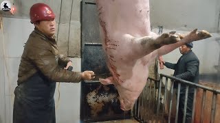 El tocino se hace esta manera  Fábrica procesamiento carne cerdo [upl. by Ishii41]