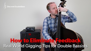 How to Eliminate Feedback on the Double Bass [upl. by Burrows818]