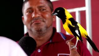 O HOMEM QUE ENSINOU O PASSARINHO CANTAR O HINO NACIONAL [upl. by Plank860]