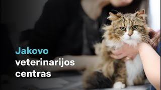 Jakovo veterinarijos centras [upl. by Rrats]