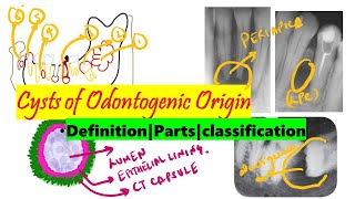 Cysts of Odontogenic origin  DETAILED Introduction  Parts Classification  ODONTOGENIC CYSTS MCQs [upl. by Cornelle]