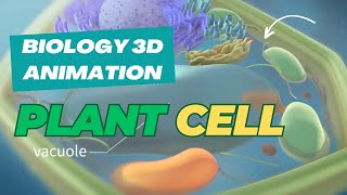 The Secret World Inside Plant Cells  3D Animation Reveals [upl. by Ymmat]