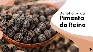 Pimenta do Reino Faz Mal Veja Seus Benefícios [upl. by Phelips739]