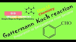 Gattermann–Koch Reaction Preparation of Benzaldehyde from Benzene Organic Chemistry Class12 [upl. by Yruok]