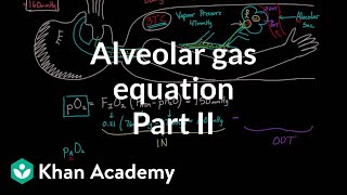 Alveolar gas equation  part 2  Respiratory system physiology  NCLEXRN  Khan Academy [upl. by Beckie200]