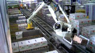 JMP ENGINEERING  Robotic Produce Palletizing with Robot on a Rail [upl. by Garfield381]