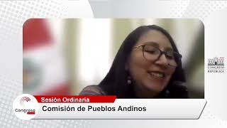 📣CongresoTVDigital  Comisión de Pueblos Andinos  14112023 [upl. by Elehcir]