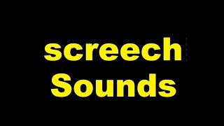 Screech Sound Effects All Sounds [upl. by Ettevol473]