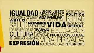 2 Los Derechos Protegidos por el Sistema Interamericano [upl. by Ernesta]