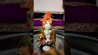 Laddu gopal sanan shortvideo radhakrishna [upl. by Akimal]