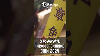 Votre Horoscope Chinois mensuel de Juin 2024 Travail [upl. by Abie]