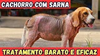 TRATAMENTO PARA SARNA DE CACHORRO  BARATO E EFICAZ [upl. by Yknarf364]