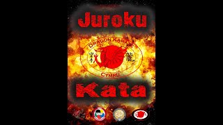 Juroku Kata Shitoryu Shukokai Karate basic guide [upl. by Enitnatsnoc276]