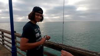 Oceanside California Pier Fishing Whats The Best Bait to Catch Mackerel from the Southern Ca Pier [upl. by Acirretal882]