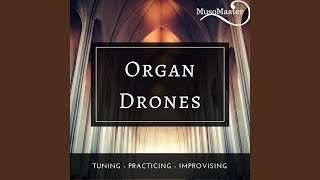 Organ Drone D [upl. by Isteb]