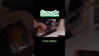 Smak  Crna dama bass cover smak exyu exyumuzikaofficial yumuzika [upl. by Fairfax280]