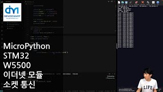 MicroPython  STM32 W5500 이더넷 모듈 소켓 통신 [upl. by Etteiluj]