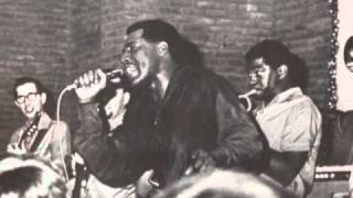 Otis Redding  Louie Louie [upl. by Ahsrats]