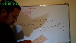 TD De Biochimie 04 Les Lipides part 2 السلسلة الرابعة من الكيمياء الحيوية الدهون [upl. by Tsirhc]