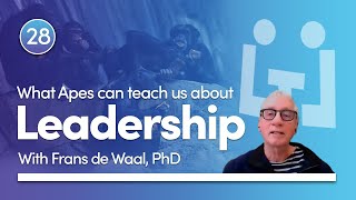 What apes can teach us about leadership  Frans de Waal [upl. by Ertnod]