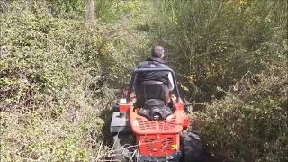 Broyeurs à fléaux autoportée  MECCANICA BENASSI  CDPM [upl. by Ahsenod]