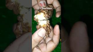 yammer chocolate 🍫 choclet subscribe [upl. by Sarilda]