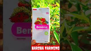 fmc benevia insecticide telugu shortsfeed short harshafarming11 mirapa [upl. by Warfore919]