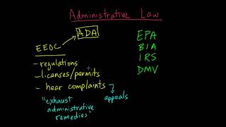 Administrative Law [upl. by Alyehc]