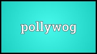 Pollywog Meaning [upl. by Malchus]