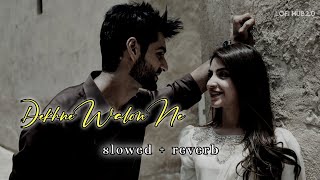 Dekhne Walo Ne   slowed  reverb  Udit Narayan Alka Yagnik  Lofihub65 🌈🎧 [upl. by Nunciata]