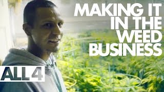 How People Make It In the Legal Weed Business [upl. by Akisej41]