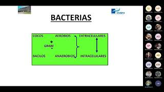 Microbiología básica de infecciones  PK y PD  Manejo ATB paciente critico con sepsis [upl. by Varipapa]