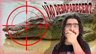 QUAIS CROCODILOS PODEM DESAPARECER Pirula 3525 [upl. by Aynotan22]