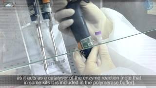 PCR Master Mix preparation and RTPCR [upl. by Bullard696]