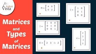 Matrices and Types of Matrices  Definition Examples [upl. by Auqinahs]