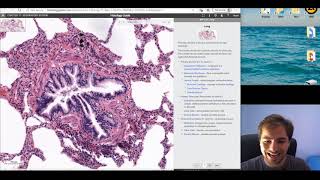 Histology of the Respiratory System part 2 [upl. by Derreg759]