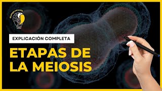 DIVISIÓN CELULAR  MEIOSIS 🟠 Explicación COMPLETA [upl. by Bloem]