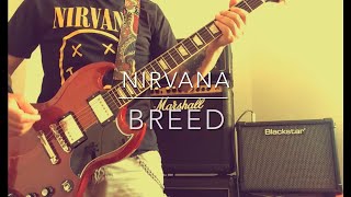 Nirvana  Breed guitar cover [upl. by Stefan]