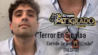 GRUPO ATIGRADO  TERROR EN SINALOA quotCORRIDO DE OVIDIO GUZMÁNquot INEDITO [upl. by Edea590]