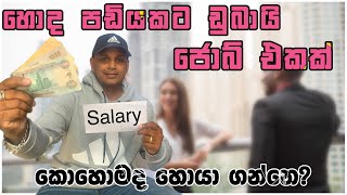 ඩුබායි ගිහිං ගොඩ යන්න නම්how to find jobs in dubaiUAE sinhala  2024 [upl. by Lobell]