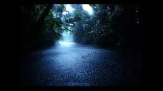 quot60 minsquot Nature Heavy Rainstorm Relaxing Sounds No Music [upl. by Drida800]