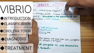 Video no14 Vibrio cholera  introduction classifications cholera toxin diagnosis treament [upl. by Fremont]